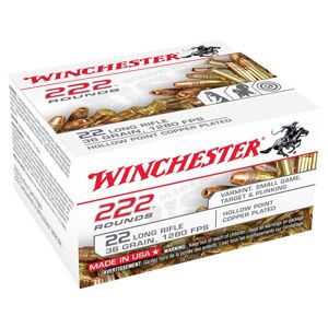 Winchester Bulk Pack Rimfire Ammo - .22 Long Rifle - Plated Hollow Point - 36 Grain - 333 Rounds
